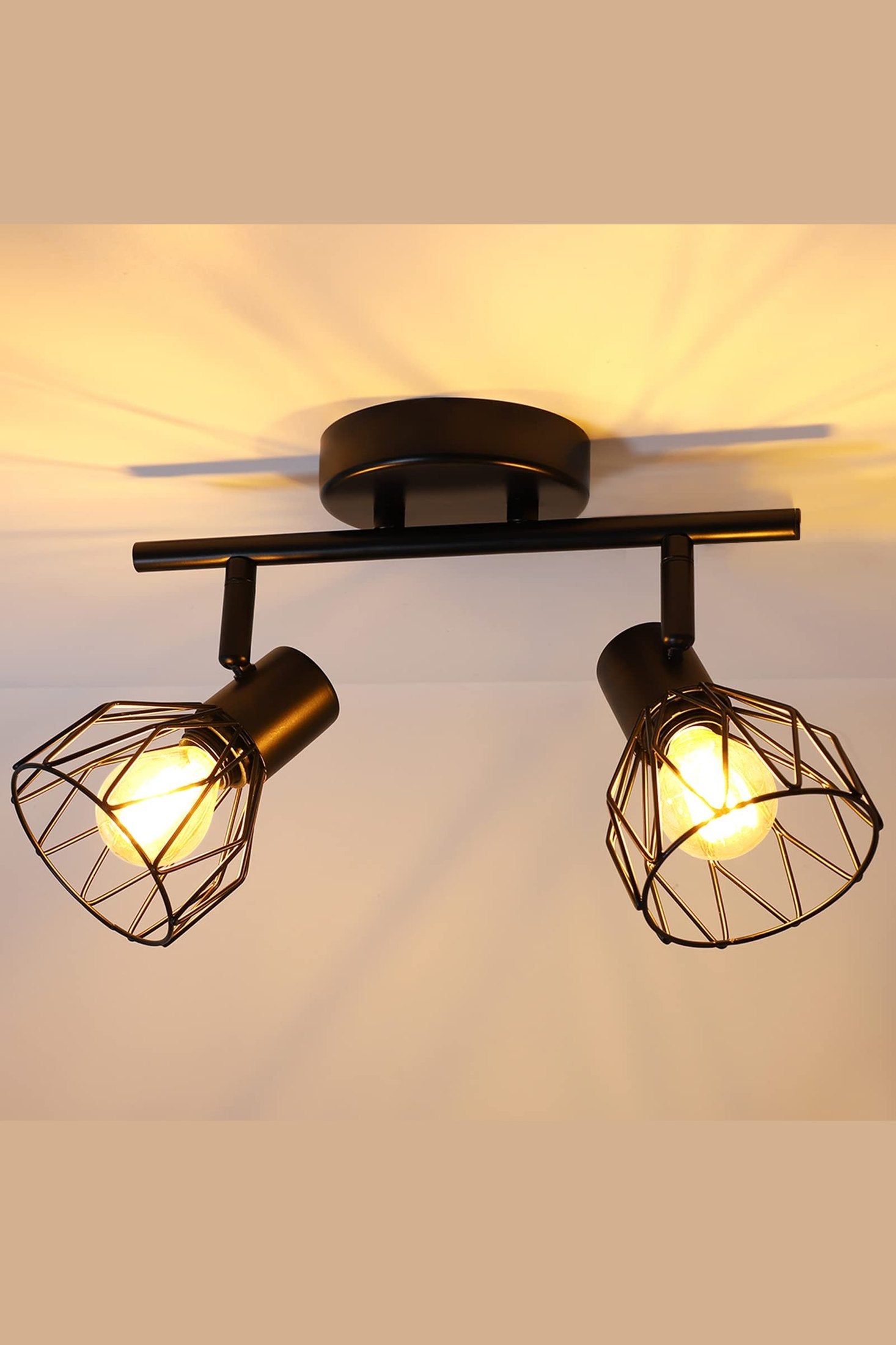 Plafonnier Industriel 2 Spots LED noir