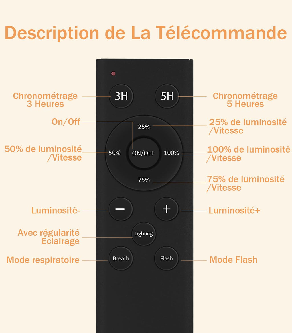 guirlande LED extérieur