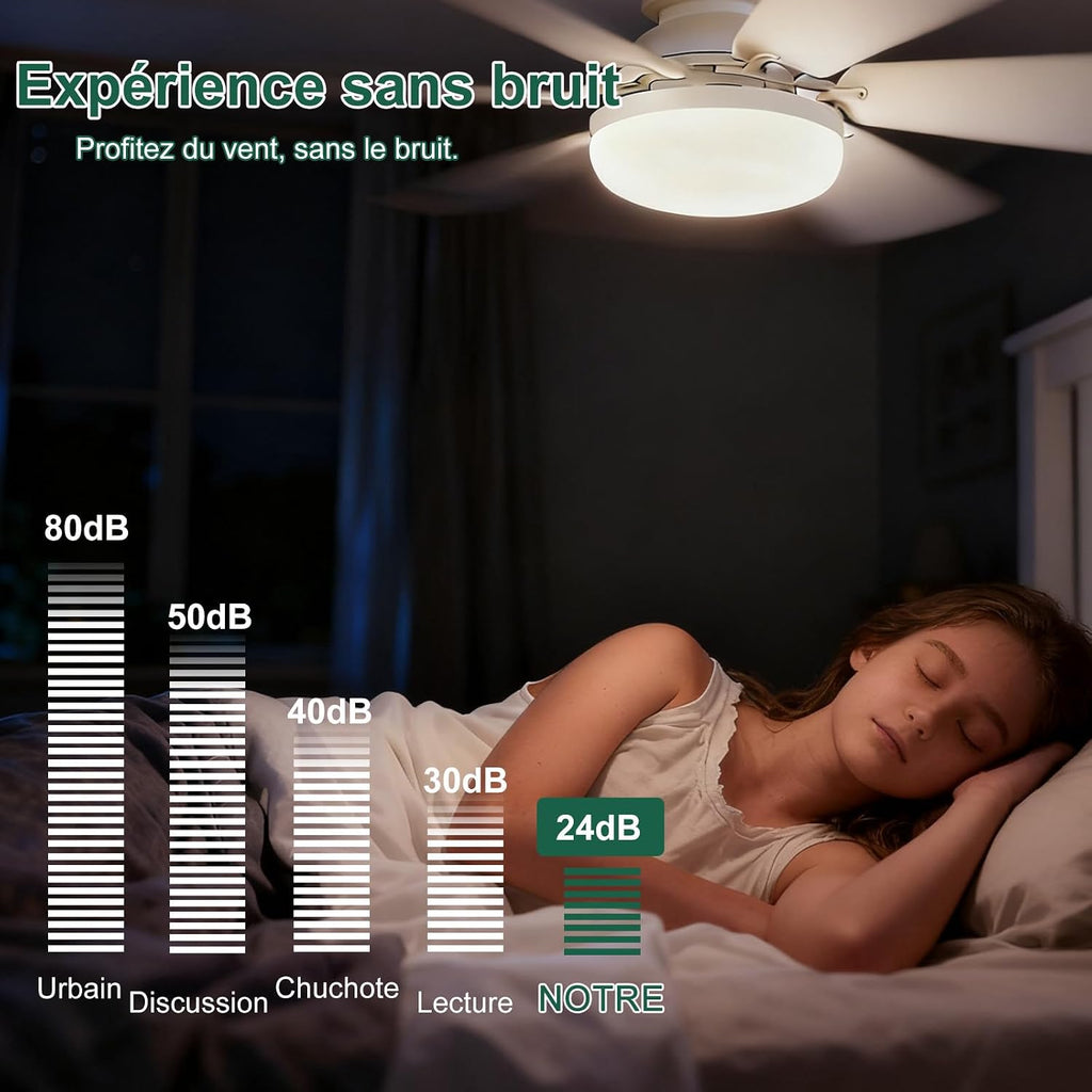 Ventilateur de Plafond pas cher avec Lumière et Télécommande