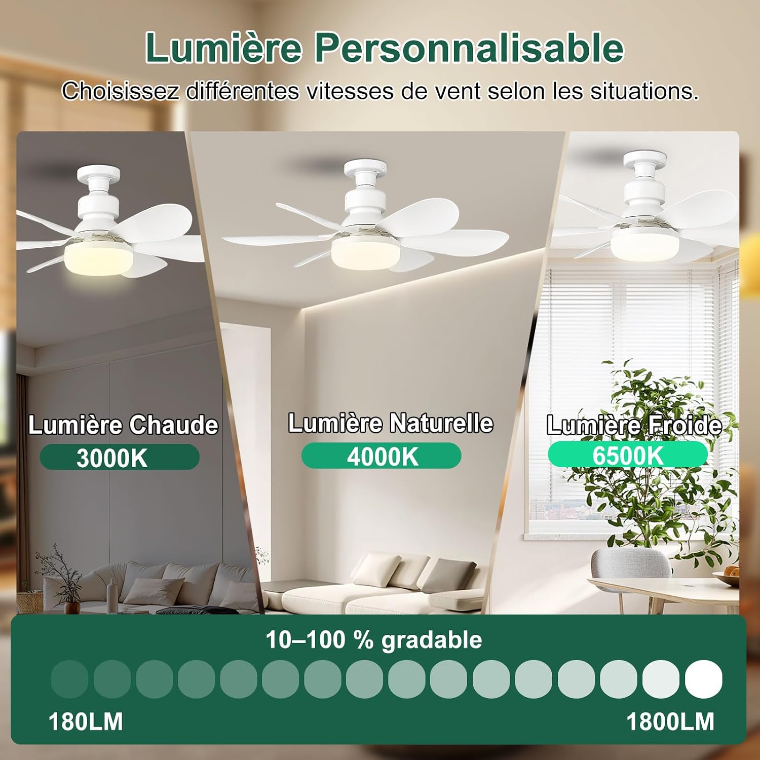 Ventilateur de Plafond pas cher avec Lumière et Télécommande
