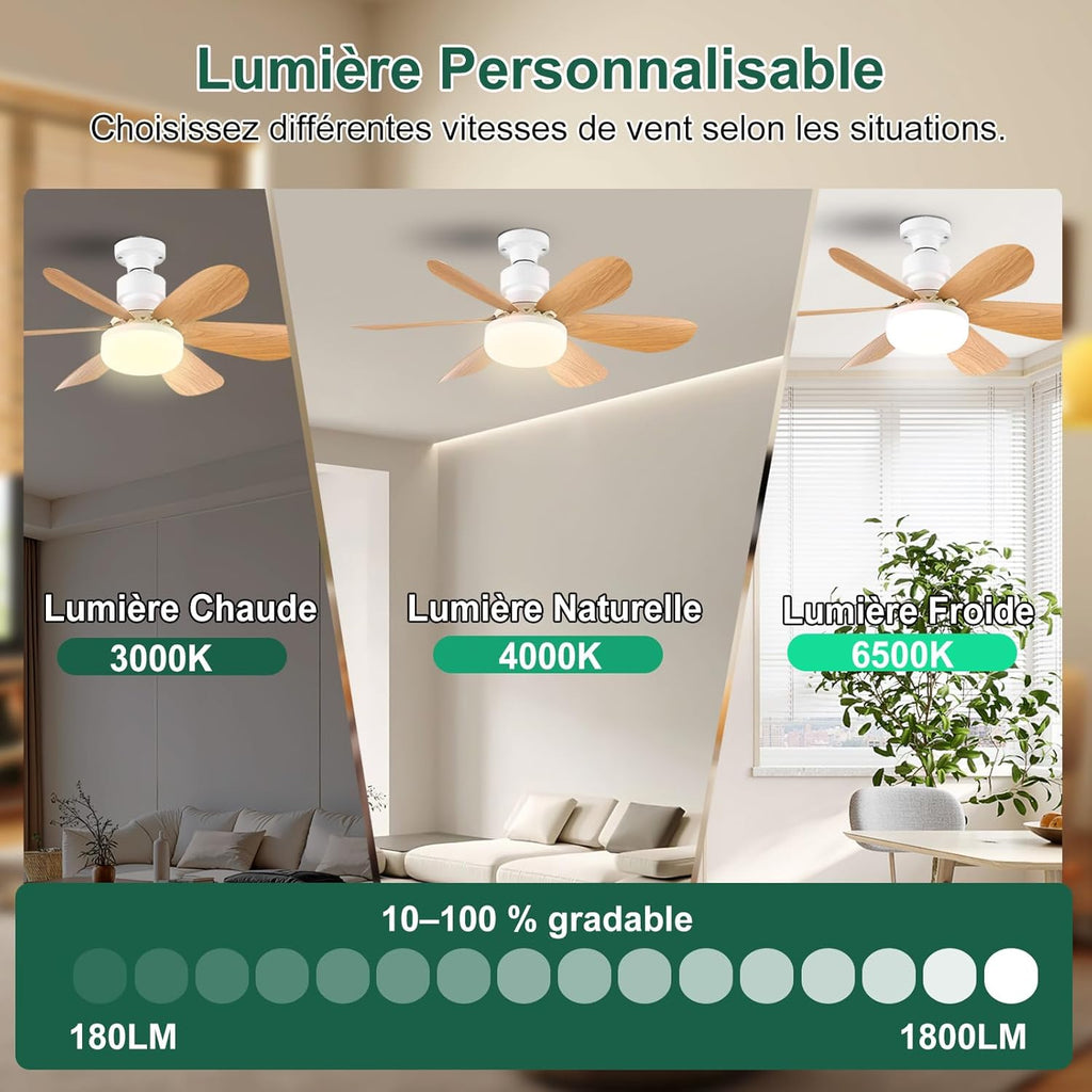 Ventilateur de Plafond pas cher avec Lumière et Télécommande