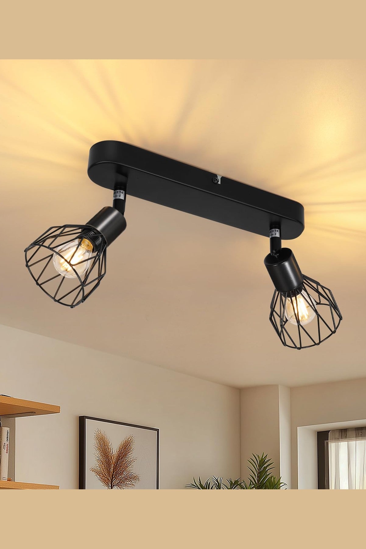 Suspension Industriel 2 Spots LED noir