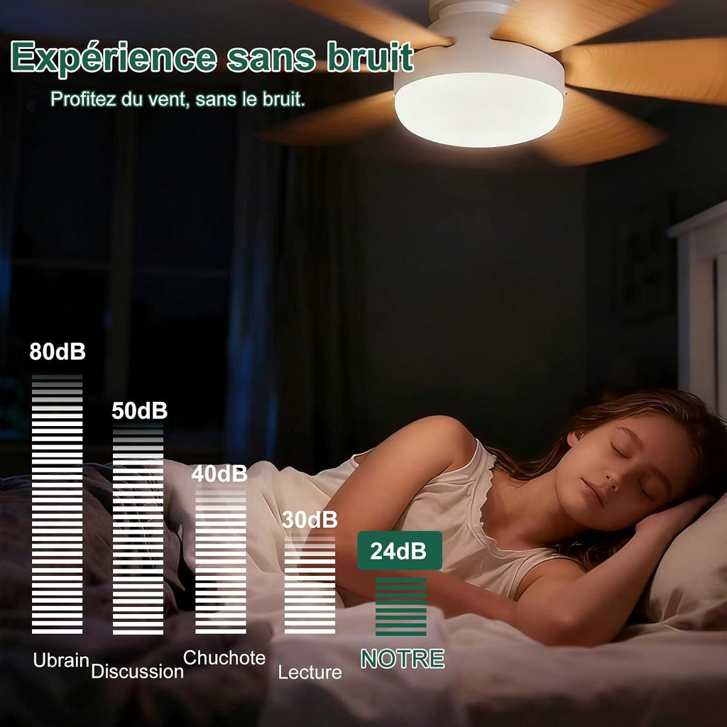 Ventilateur de Plafond pas cher avec Lumière et Télécommande
