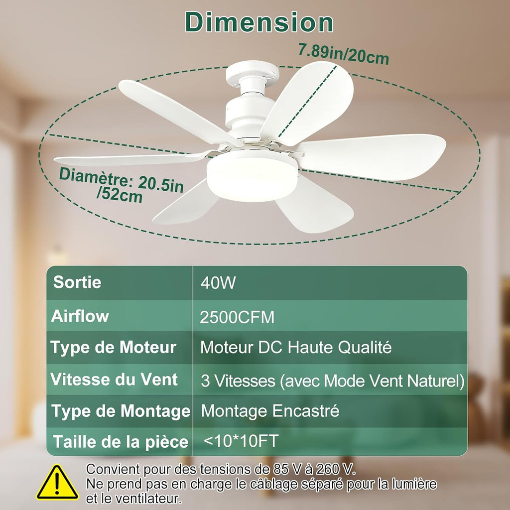 Ventilateur de Plafond pas cher avec Lumière et Télécommande