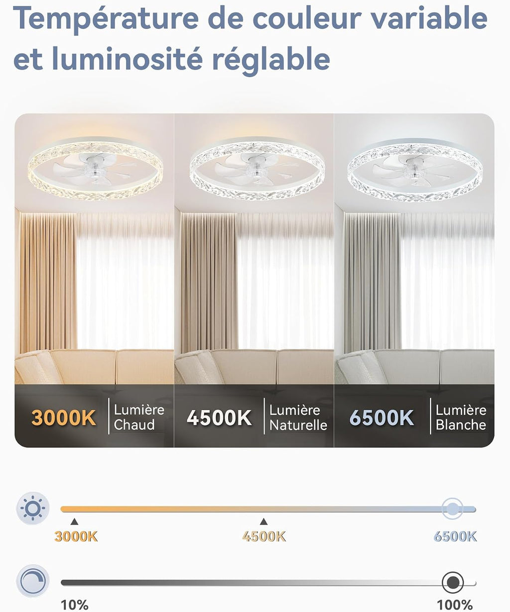 ZMISHIBO Ventilateur de Plafond