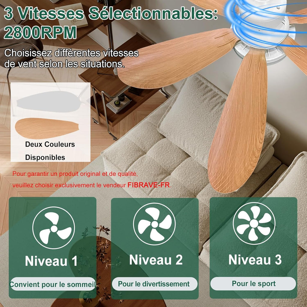 Ventilateur de Plafond pas cher avec Lumière et Télécommande