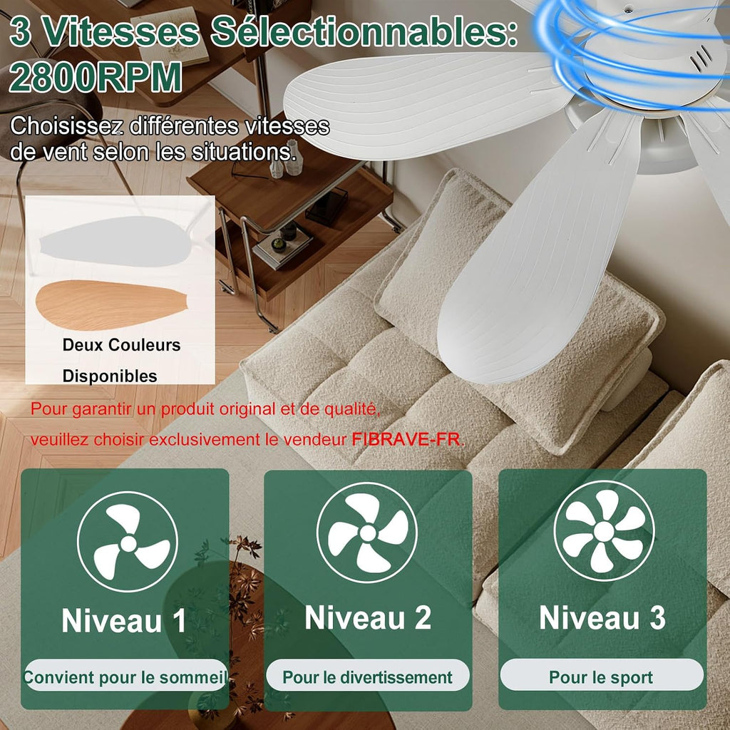 Ventilateur de Plafond pas cher avec Lumière et Télécommande
