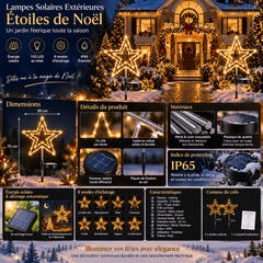 Étoiles solaires Noël 8 modes IP65