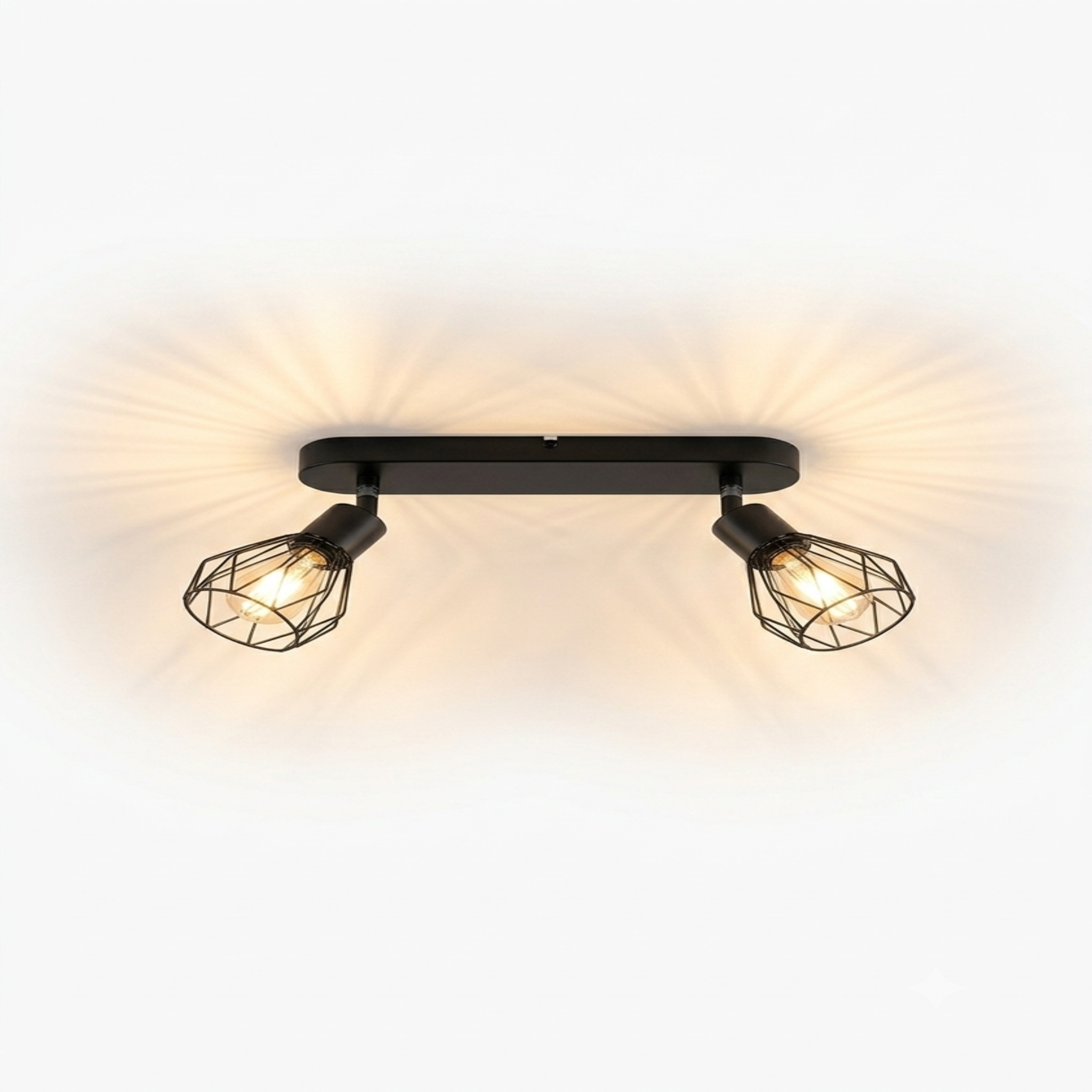 plafonnier industriel 2 ampoules 