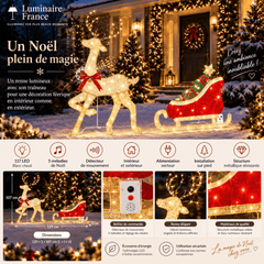 Décoration de Noël avec renne lumineux et traîneau devant maison