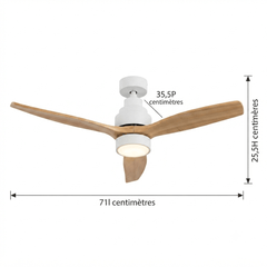 Ventilateur de plafond Mellerware design élégant et silencieux par France Luminaire