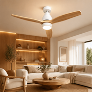 Ventilateur de plafond Mellerware -Design et Silence | France Luminaire